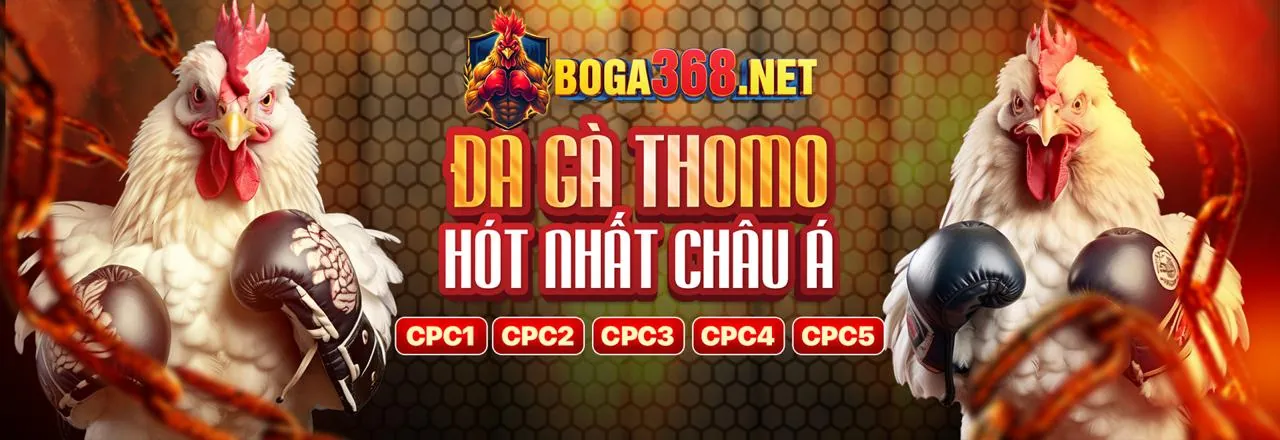 Tổng quan các dịch vụ KV888