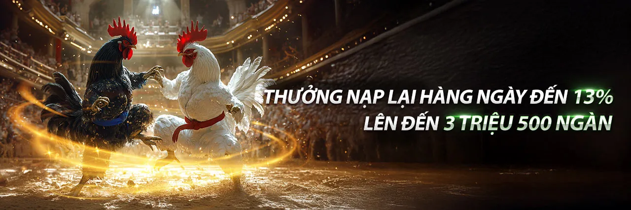 Sân đấu Đá gà kịch tính tại KV888