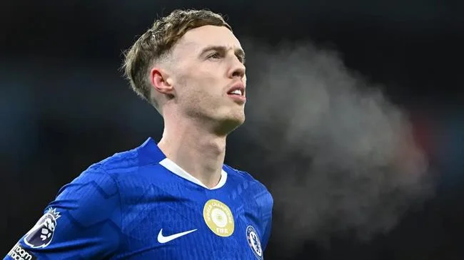 Biểu đồ so sánh các nền tảng cá cược khác nhau