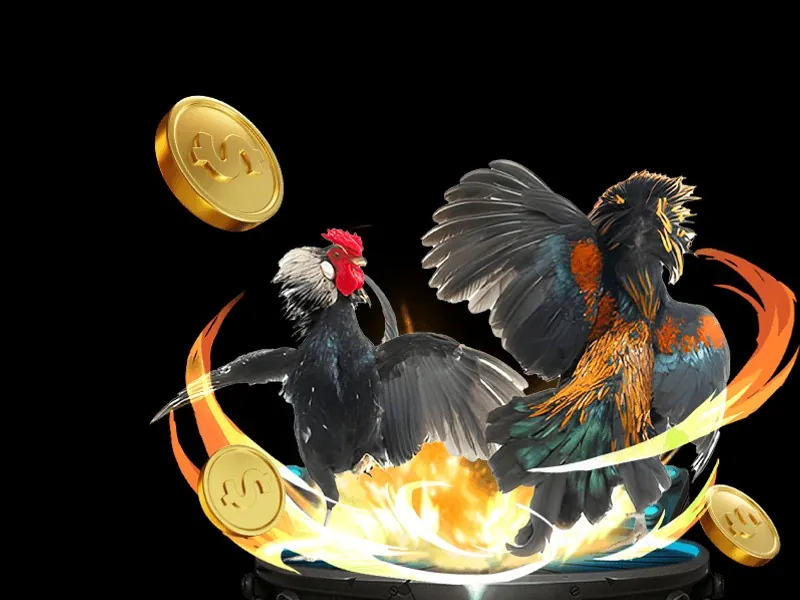 Đá Gà Trực Tuyến tại KV888 Casino