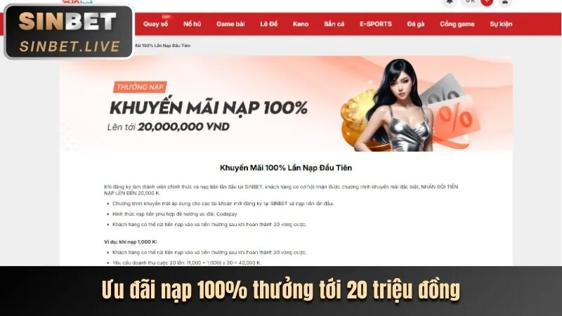 Hoàn trả hàng ngày vk999